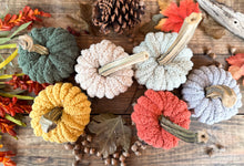 Load image into Gallery viewer, Pumpkin Craft Kit, Pumpkin Craft for Kids, Pumpkin Kit, Pumpkin Craft, Craft Kits for Girls, Craft Kits for Adults, Craft Kits for Women