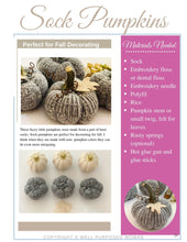 Load image into Gallery viewer, Treasures in Your Sock Drawer: Re-Purposing Socks into Home Decor Items