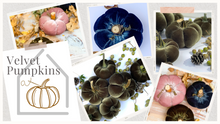 Load image into Gallery viewer, Velvet Pumpkin Crafting Course at Riverwood Studio