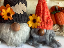 Load image into Gallery viewer, Fall Gnome Family Course | How to Make a Fall Gnome Family Course