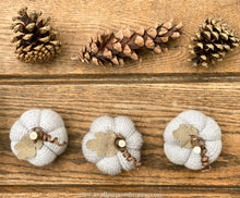 Load image into Gallery viewer, Sock Pumpkin Crafting Course | How to Make Sock Pumpkins Course