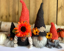 Load image into Gallery viewer, Fall Gnome Family Course | How to Make a Fall Gnome Family Course