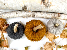 Load image into Gallery viewer, Yarn Pumpkin Making Kit
