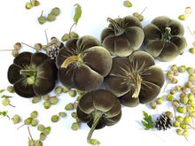 Load image into Gallery viewer, Velvet Pumpkin Crafting Course at Riverwood Studio
