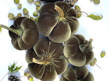 Load image into Gallery viewer, Velvet Pumpkin Crafting Course at Riverwood Studio
