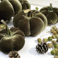 Load image into Gallery viewer, Velvet Pumpkin Crafting Course at Riverwood Studio
