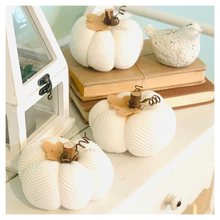 Load image into Gallery viewer, Sweater Pumpkin Crafting Course | How to Make Sweater Pumpkins Course
