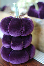 Load image into Gallery viewer, Velvet Pumpkin Crafting Course at Riverwood Studio
