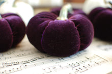 Load image into Gallery viewer, Velvet Pumpkin Crafting Course at Riverwood Studio
