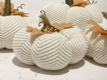 Load image into Gallery viewer, Sweater Pumpkin Crafting Course | How to Make Sweater Pumpkins Course
