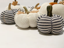 Load image into Gallery viewer, Sweater Pumpkin Crafting Course | How to Make Sweater Pumpkins Course
