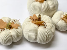 Load image into Gallery viewer, Sweater Pumpkin Crafting Course | How to Make Sweater Pumpkins Course
