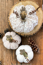 Load image into Gallery viewer, Oatmeal Sweater Pumpkin Set | Oatmeal Fabric Pumpkin Set
