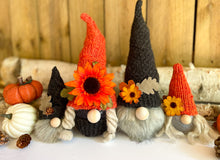 Load image into Gallery viewer, Fall Gnome Family Course | How to Make a Fall Gnome Family Course
