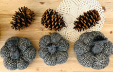 Load image into Gallery viewer, Sweater Pumpkin Crafting Course | How to Make Sweater Pumpkins Course
